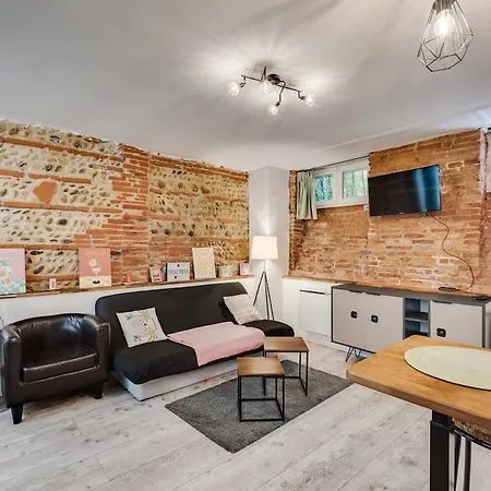 La Brique Toulousaine - Hypercentre Apartment Toulouse