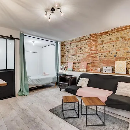 La Brique Toulousaine - Hypercentre