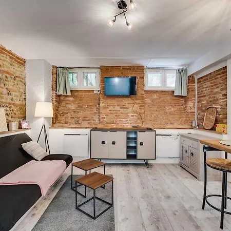Apartamento La Brique Toulousaine - Hypercentre