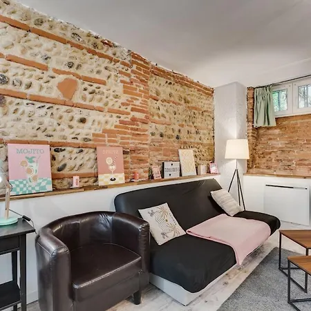 La Brique Toulousaine - Hypercentre Apartment Toulouse