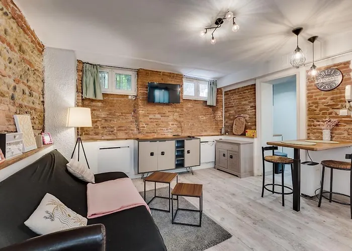 La Brique Toulousaine - Hypercentre Appartement