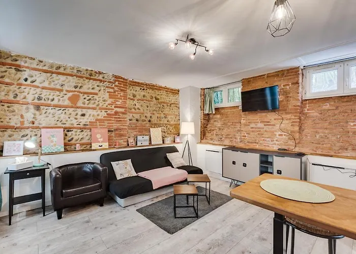 La Brique Toulousaine - Hypercentre Appartement Toulouse