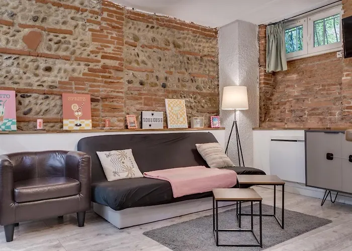 Appartement La Brique Toulousaine - Hypercentre