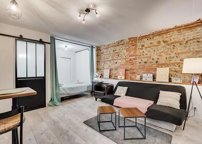 La Brique Toulousaine - Hypercentre