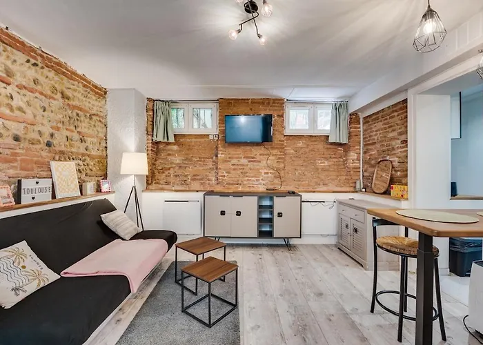 Appartement La Brique Toulousaine - Hypercentre