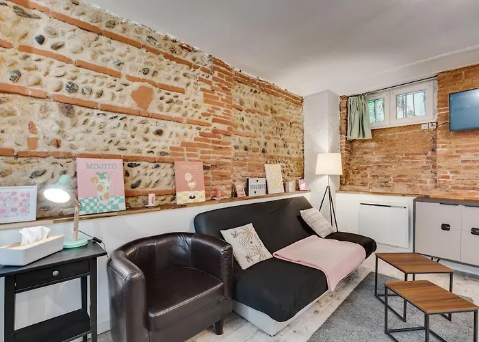 La Brique Toulousaine - Hypercentre Appartement Toulouse