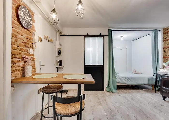 La Brique Toulousaine - Hypercentre * Toulouse